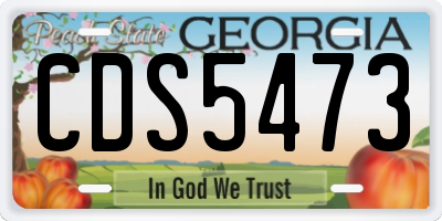 GA license plate CDS5473