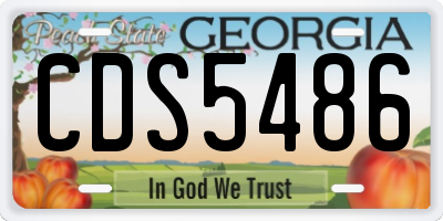 GA license plate CDS5486