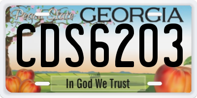 GA license plate CDS6203