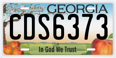 GA license plate CDS6373