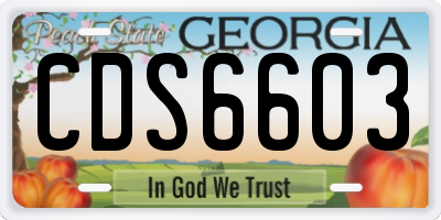 GA license plate CDS6603