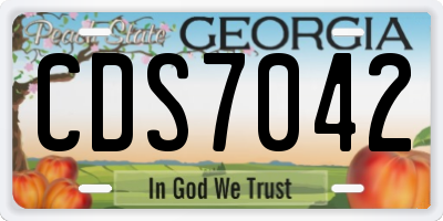 GA license plate CDS7042