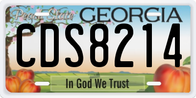 GA license plate CDS8214