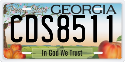 GA license plate CDS8511