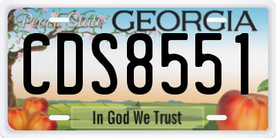 GA license plate CDS8551