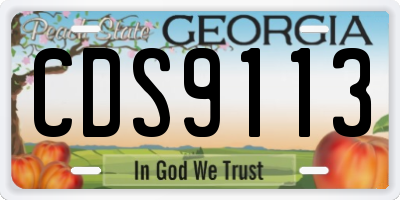 GA license plate CDS9113