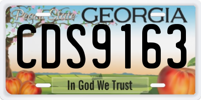 GA license plate CDS9163