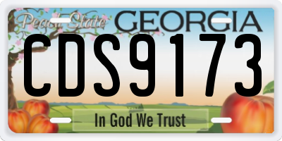 GA license plate CDS9173