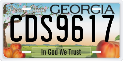 GA license plate CDS9617