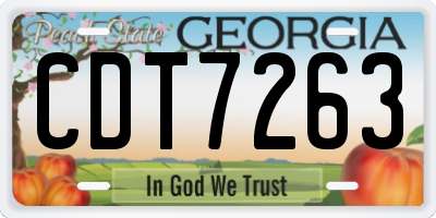 GA license plate CDT7263
