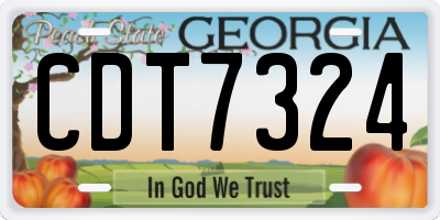 GA license plate CDT7324