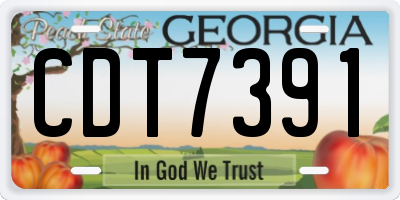 GA license plate CDT7391