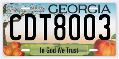 GA license plate CDT8003