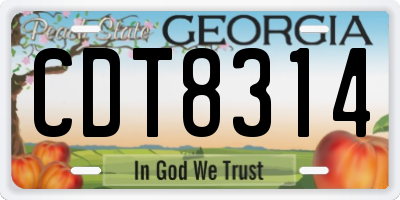 GA license plate CDT8314
