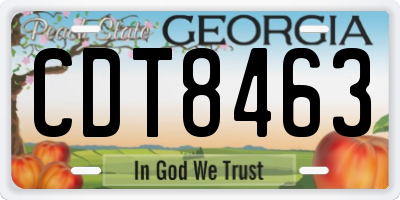 GA license plate CDT8463