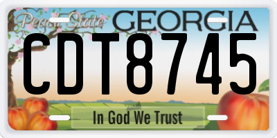 GA license plate CDT8745
