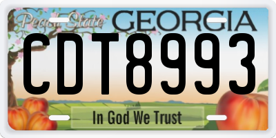 GA license plate CDT8993