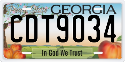 GA license plate CDT9034