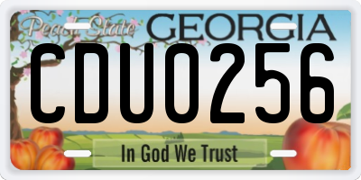 GA license plate CDU0256