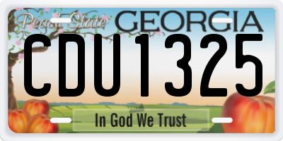 GA license plate CDU1325