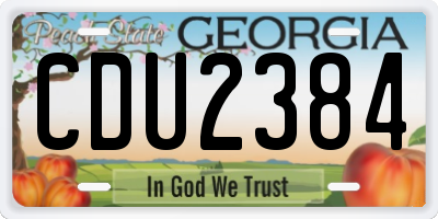 GA license plate CDU2384
