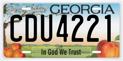 GA license plate CDU4221