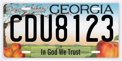 GA license plate CDU8123