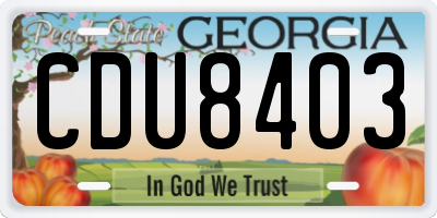GA license plate CDU8403