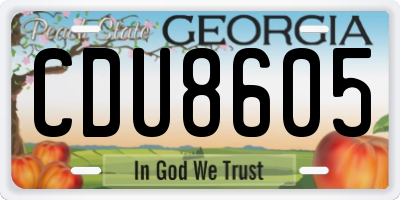GA license plate CDU8605