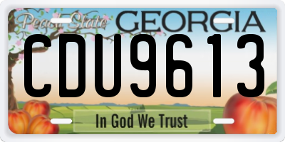 GA license plate CDU9613