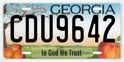 GA license plate CDU9642