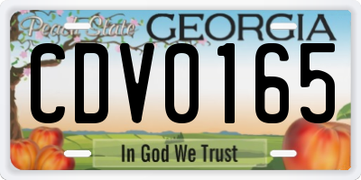 GA license plate CDV0165