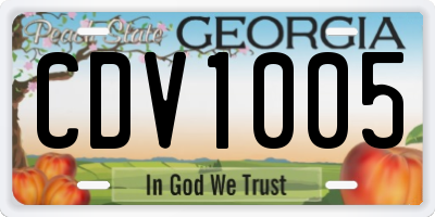 GA license plate CDV1005