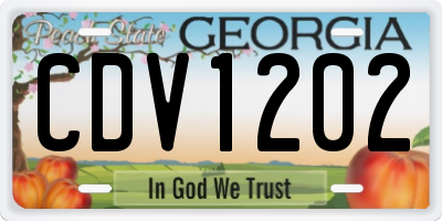 GA license plate CDV1202
