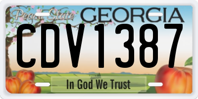 GA license plate CDV1387