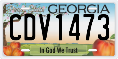 GA license plate CDV1473