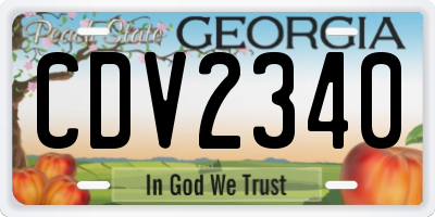 GA license plate CDV2340