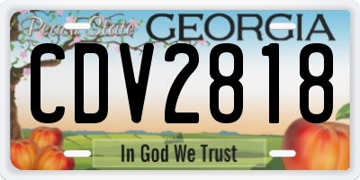 GA license plate CDV2818