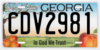 GA license plate CDV2981