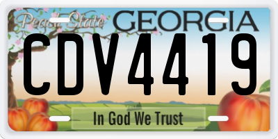 GA license plate CDV4419