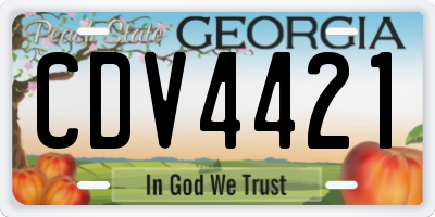 GA license plate CDV4421