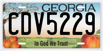 GA license plate CDV5229