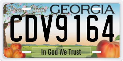 GA license plate CDV9164