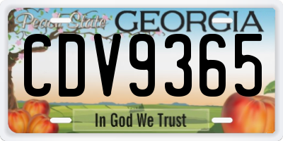 GA license plate CDV9365