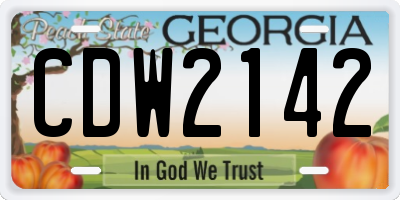 GA license plate CDW2142