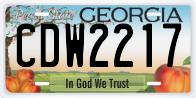 GA license plate CDW2217