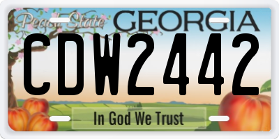 GA license plate CDW2442