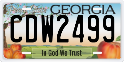GA license plate CDW2499