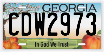 GA license plate CDW2973