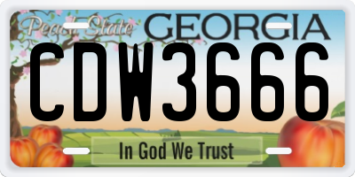GA license plate CDW3666